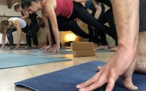 Vinyasa Yogalehrerausbildung Intensivwoche