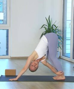 Vinyasa Yoga Workout online